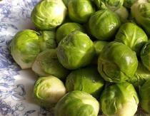 Что приготовить из брюссельской капусты вкусно и просто – проверенные рецепты на сковороде, в духовке и мультиварке