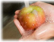 Как высушить яблоки в домашних условиях: два удобных способа Как сушить зеленые яблоки